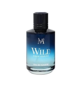 Eau De Toilette Sauvage Equivalenti 100 ML